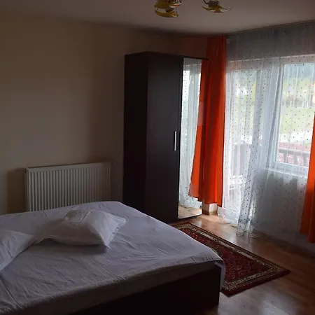 Pensiunea Mountain King Sîmbăta de Sus
