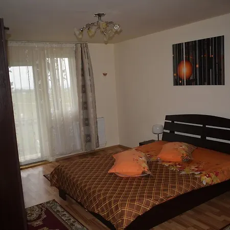 Pensiunea Mountain King 3* Sîmbăta de Sus