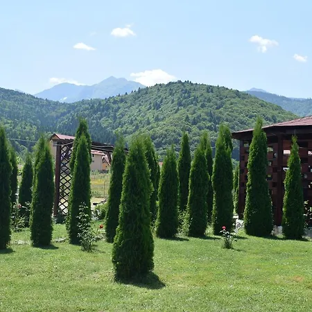 Pensiunea Mountain King 3* Sîmbăta de Sus