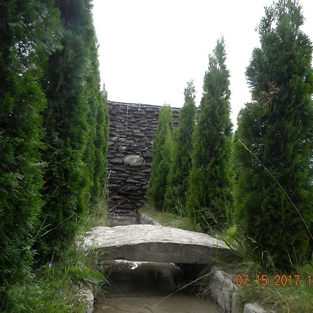 Casa de hóspedes Pensiunea Mountain King Sîmbăta de Sus