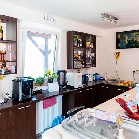 Pensiunea Mountain King Casa de hóspedes Sîmbăta de Sus